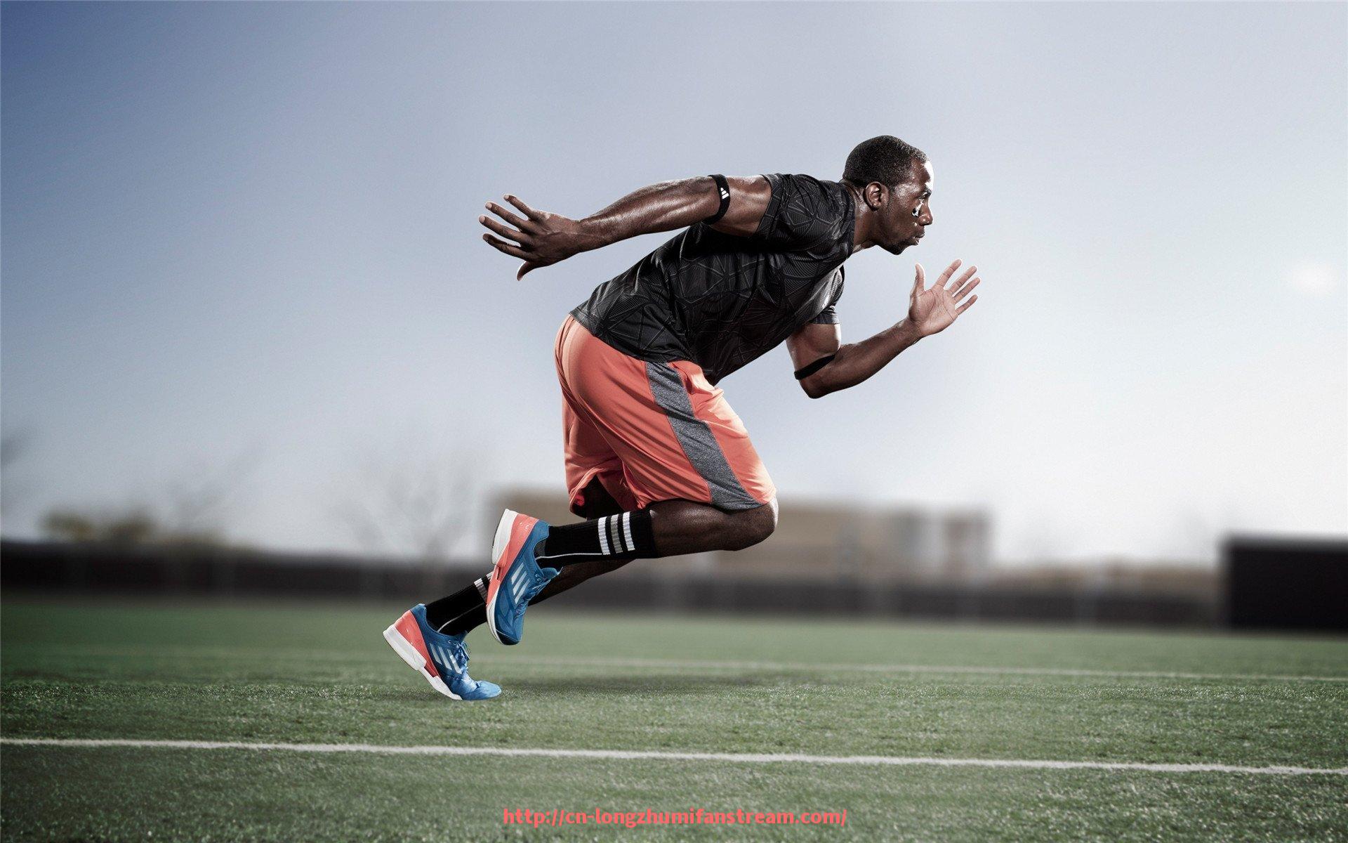 龙珠直播-央视体育频道中超赛程直播时间及看点介绍