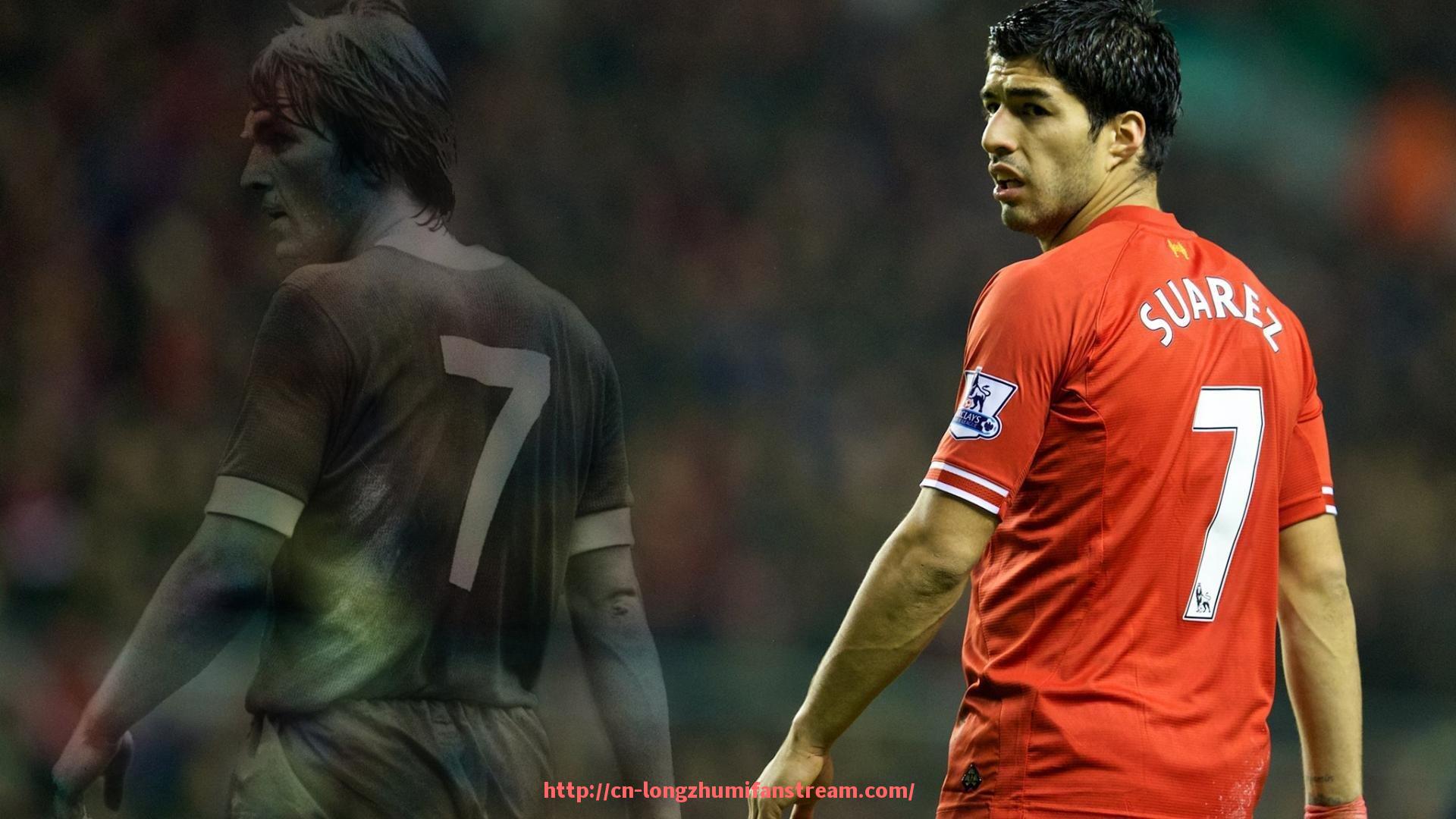 龙珠直播-瘦胳膊用什么健身器材